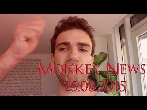 Monkey News vom 25.08.2015