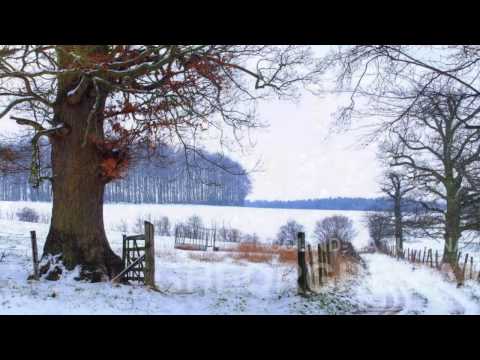 Colind - La tulpina marului