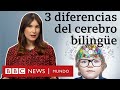 Cómo Cambia Tu Cerebro Al Hablar Varios Idiomas BBC Mundo