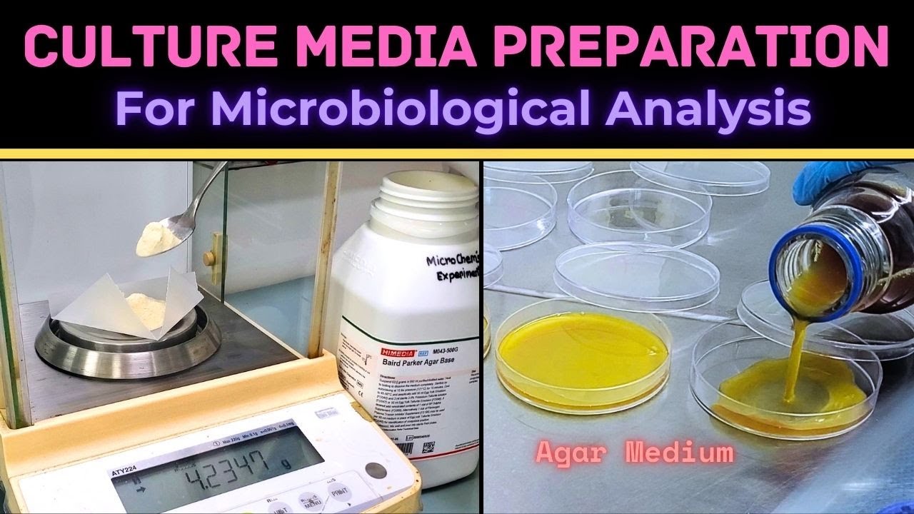 Culture Media Preparation | For Microbiological Analysis | Agar Media Plate | BAM