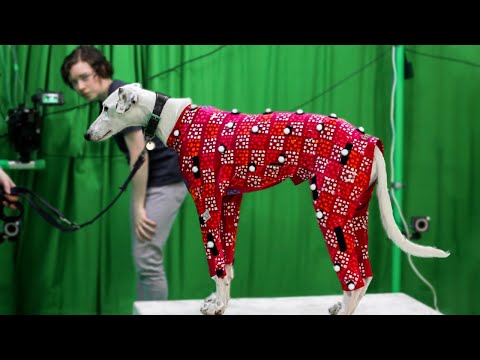 NEUE MOTION-CAPTURE-TECHNIK KÖNNTE DEINEN HUND IN VIDEOSPIELE DIGITALISIEREN