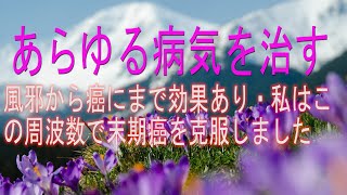 あらゆる病気を治す 風邪から癌にまで効果あり 私はこの周波数で末期癌を克服しました 病気が治る音楽 空間浄化 波動水 可愛くなる音楽 願いが叶う音楽 ソルフェジオ موقع ويب حيث يمكنك مشاهدة مقاطع فيديو موسيقية مجانية