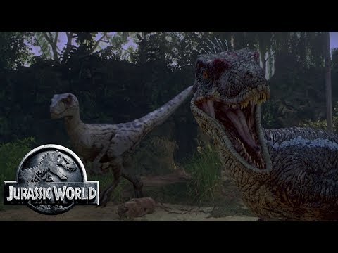 The Different Raptor Tribes of Isla Sorna - Jurassic Park Feathers - InGen Site B