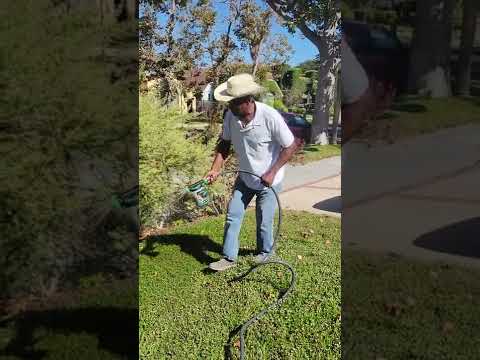 Re-Energizing Kurapia Effectivly With SeaExtra