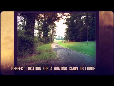 Archive 69 Video thumbnail