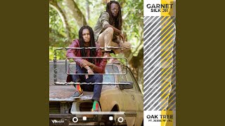 Oak Tree Music Video