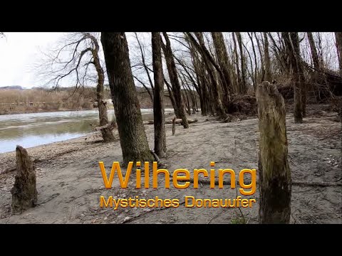 Wilhering - Mystisches Donauufer
