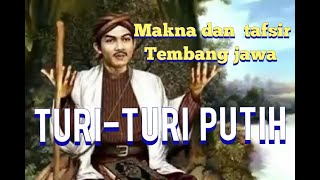Download lagu Tafsir dan arti lagu jawa TURI TURI PUTIH mp3