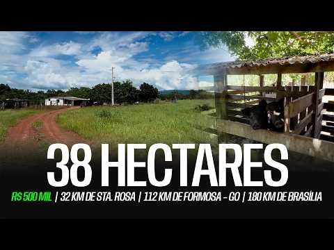 SÍTIO 38 HECTARES À VENDA EM FORMOSA – GO | 30 km de Sta. Rosa | 40 km da BR-020 R$500 MIL