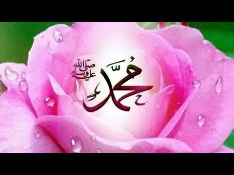 SAR LULUDIN ULUM | Maksut El Qadery (Clip Official 4K)