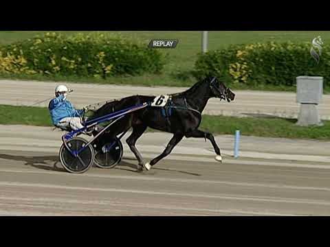 Aversa trotto 21 Ottobre 2020 - 3° Corsa