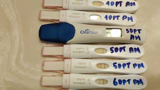 PREGNANCY TEST - 8-9DP5DT - 44 YRS OLD - IVF OWN EGGS