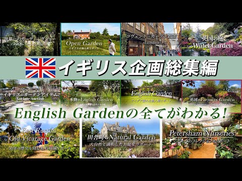 庭の水生池 - 建設手順と感動的な写真!  庭園