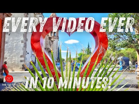 EVERY VIDEO EVER in TEN minutes | FIVE YEARS of your LIFE could look like THIS! | The Tao of David