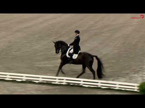 Dressurcup der Firma iWEST - Finalprüfung