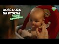 BoboVita Krok Po Kroku Uczą Się Jak Jeść Kaszki Porcja Zbóż Na Kolację