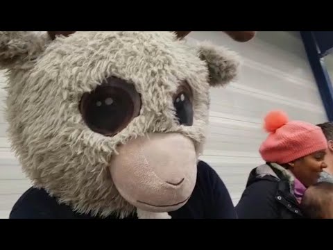 ROAC TV #11: De tijger tegen de bok (handbal special)