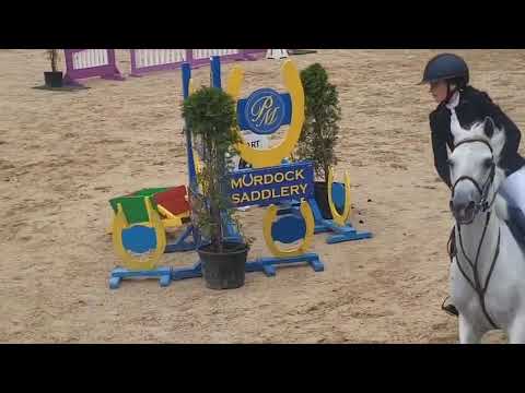 Highburren Rose 148cm showjumper - Image 2