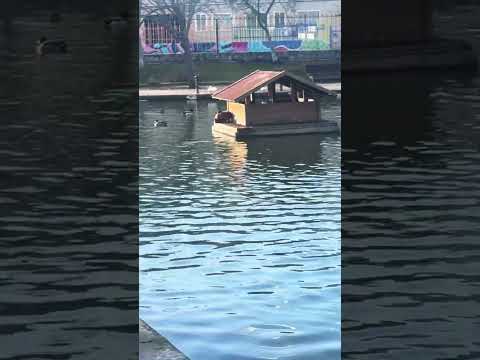 #music laguna de los patos #collado #villalba