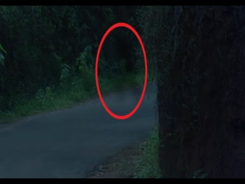 REAL PARANORMAL ACTIVITY Real Ghost Caught on Tape | Ghostly shadow