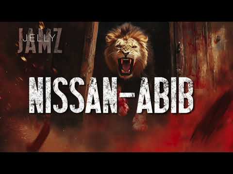 Nissan-Abib