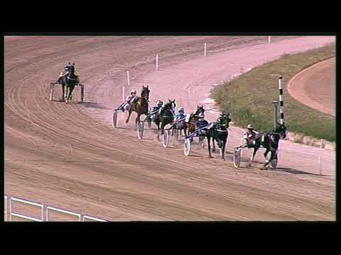 Trotto 13/09/2020 - 2ª prova di qualifica