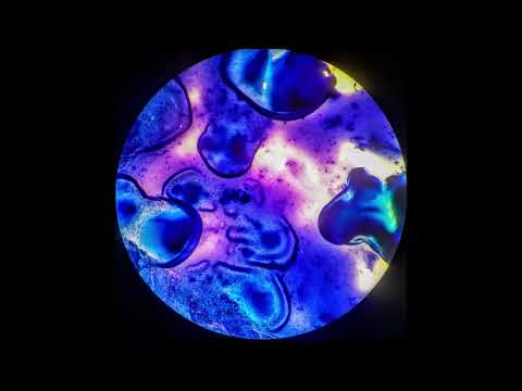 Dark Quadrant - Orient [OR027]