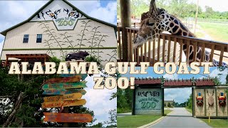 Alabama Gulf Coast Zoo | Gulf Shores Alabama
