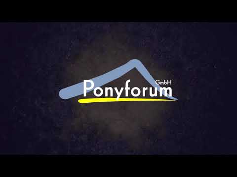 GOLDSTERN Stute * 2017 v. Nancho´s  Golden Star - Hightower