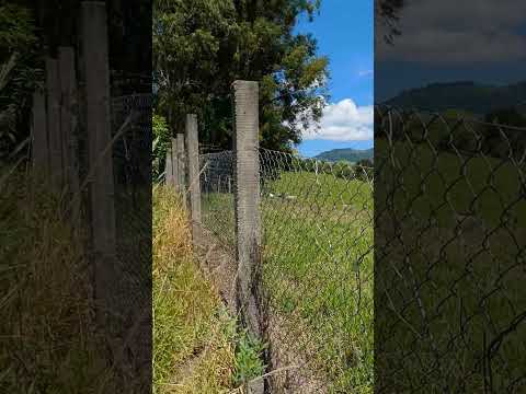 curtindo uma tarde em Rosário do Ivaí