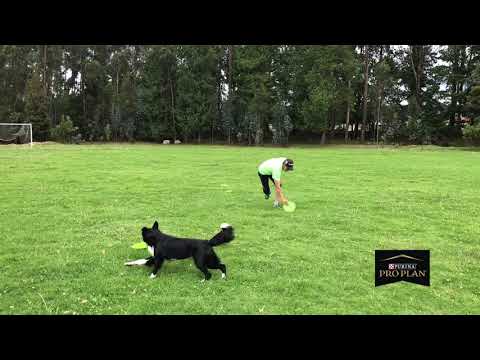 Colombia-Jairo Aldemar Pinilla Pedraza & Jazz