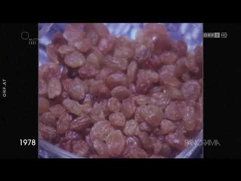 2018 05 27 ORF Panorama  - Vegetarier in den Siebzigern - 1978