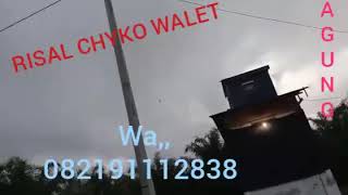 Download lagu SP,,RAJA RIMBA mp3 Download lagu SP,,RAJA RIMBA mp3