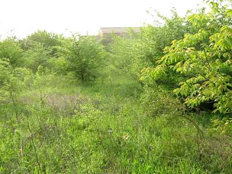 Arna - rad u polju - prolece 2010-1.avi