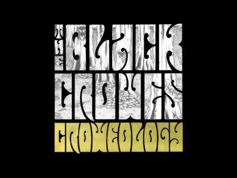 the black crowes