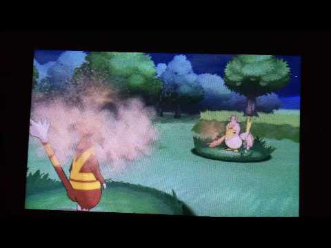 (300 Sub Special) Live!!! Shiny Farfetch'd After 4,853 Re's!!!