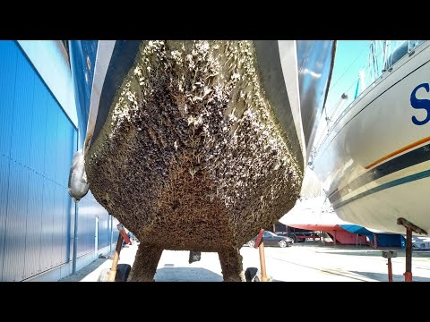 ⛵️2 Wir haben ein Segelboot gekauft! Reinke S11 Stahl Segelboot #segelboot