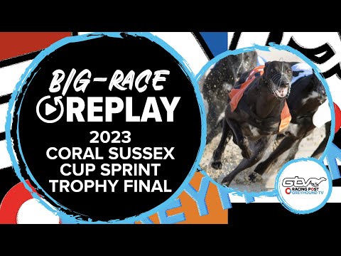 2023 Coral Sussex Cup Sprint Trophy Final - Kilara Ivy | Greyhound Race Replays | 2023 Big Finals
