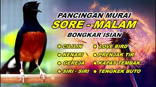 Download lagu 🔴 LIVE 01 - Pancingan Murai Batu Pagi Hari Full Isian Tembakan kasar Murai Macet Pasti Nyaut mp3 Download lagu 🔴 LIVE 01 - Pancingan Murai Batu Pagi Hari Full Isian Tembakan kasar Murai Macet Pasti Nyaut mp3