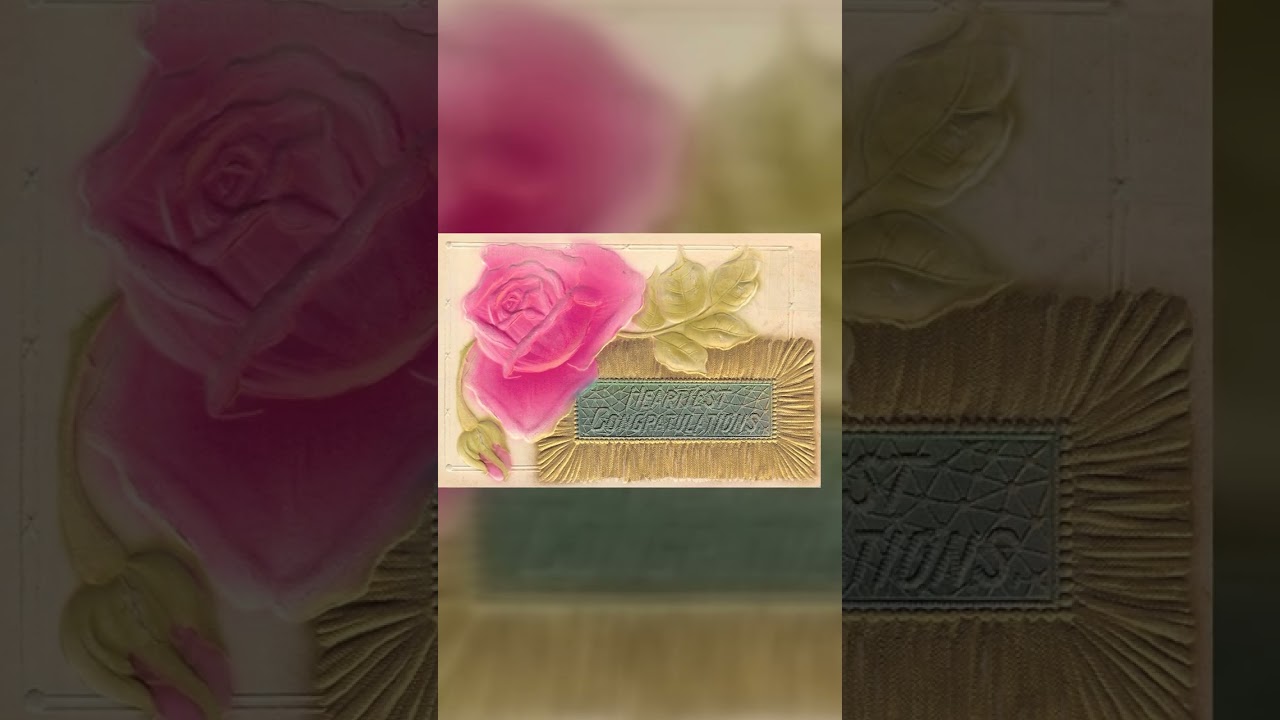 M.B. Postcard, Embossed Rose, South Dakota, 1910s Video
