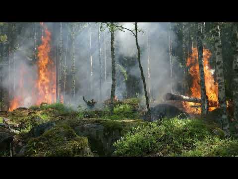 What is the message from the fire in California