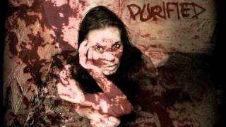 Shock Radar - Severance Day