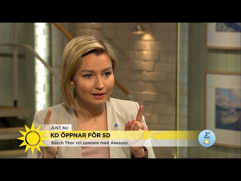 Ebba Busch Thor om SD: ”Löftena jag gav innan valet byggde på ett helt annat l… - Nyhetsmorgon (TV4)