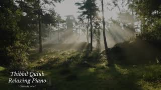 Download lagu Musik Sholawat Relaksasi Penyejuk Hati ( Thibbil Qulub Relaxing Piano ) mp3 Download lagu Musik Sholawat Relaksasi Penyejuk Hati ( Thibbil Qulub Relaxing Piano ) mp3