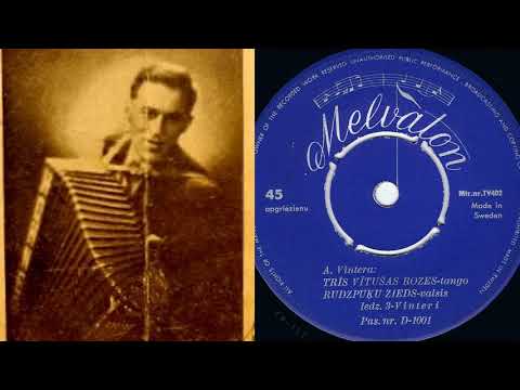 3-Vinteri - Rudzpuķu zieds (195-)