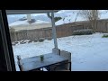 Winter storm in HOUSTON, TX!