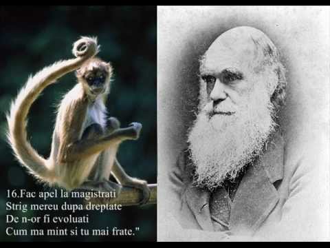 creatie sau evolutie