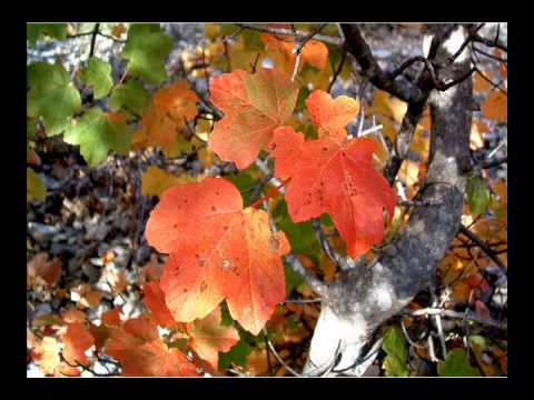 8 Wonders - 8th Wonder (Original Mix)