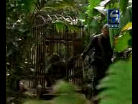 download lagu mp3 mp4 Funny Clip 3gp, download lagu Funny Clip 3gp gratis, unduh video klip Funny Clip 3gp