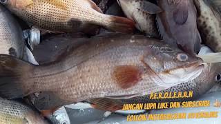 preview picture of video 'FUN BETOT FISHING Dasaran Teluk Balikpapan & Ppu (Area air putar Balang island Bridge )'